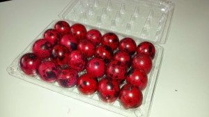 20150408_142004 - Copy (1)